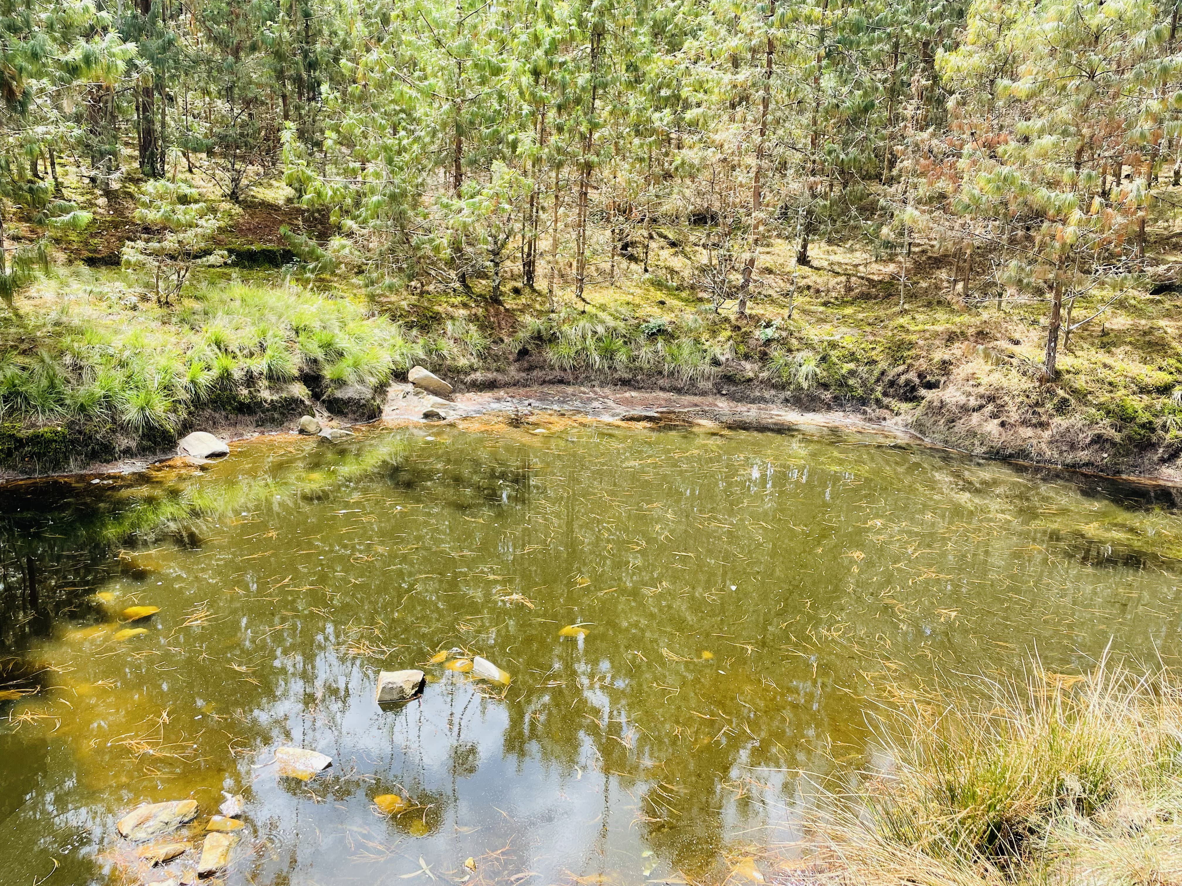 Kabuye Pond